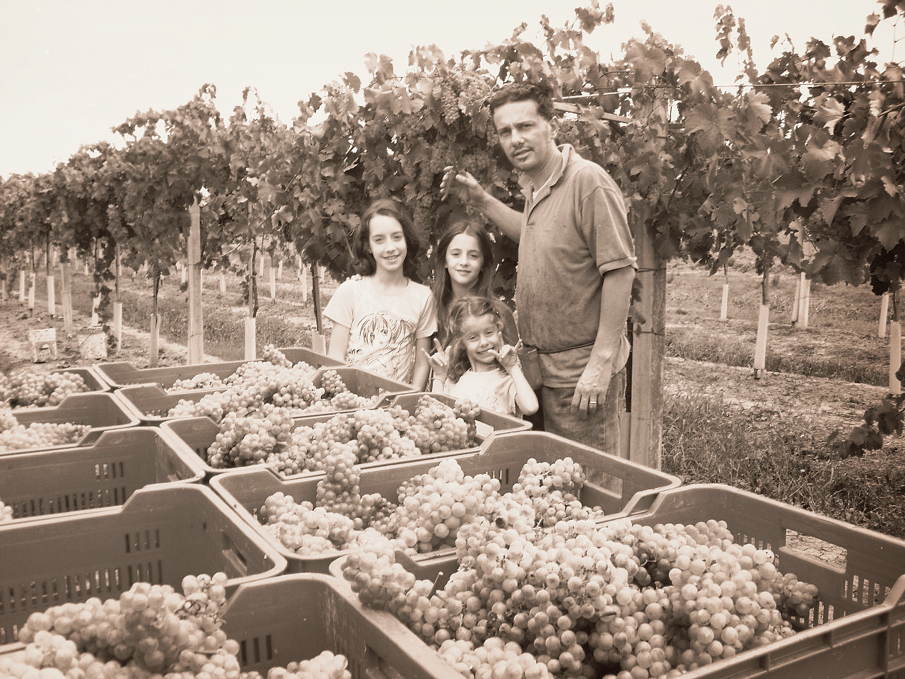 Famiglia 6